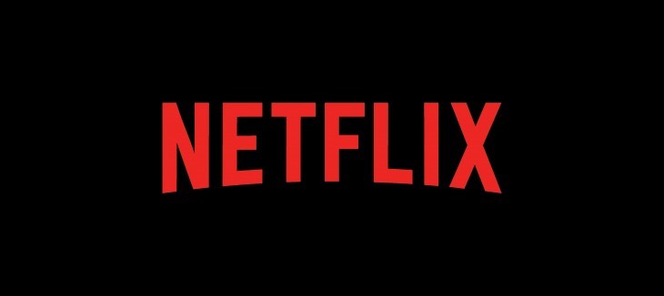 Netflix application review